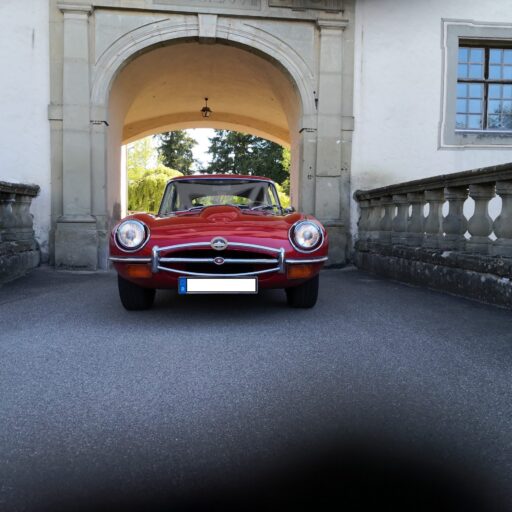 Jan-Jaguar